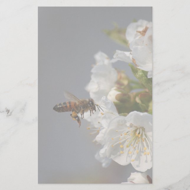 Papeterie Miel Bee (Devant)