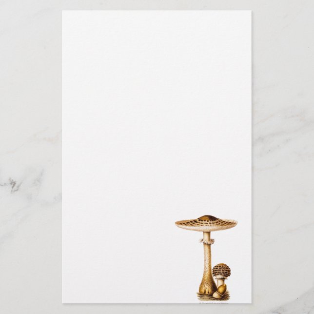 Papeterie Modèle de champignons repéré par champignon (Devant)