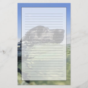 Papeterie Natation de chien dans l'eau