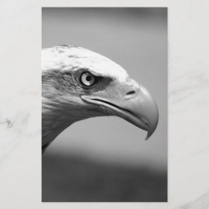 Papeterie Oeil d'aigle noir et blanc