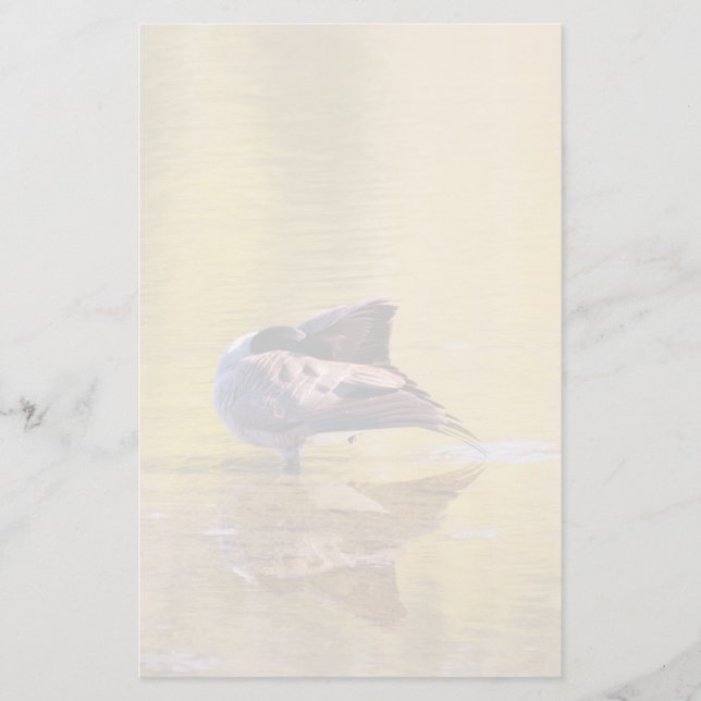 Papeterie Oie d'or (Devant)