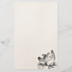 Papeterie Oiseaux de Cochin de coq de poulet personnalisés