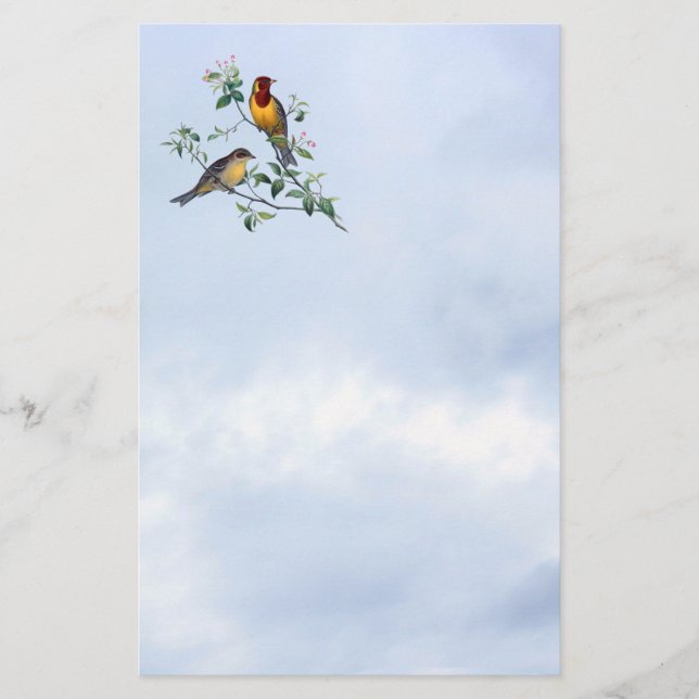 Papeterie Oiseaux sur les branches de l'arbre à fleurs, en-t (Devant)