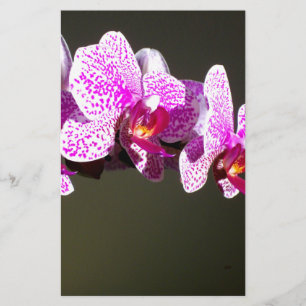 Papeterie Orchidées roses, fleurs tropicales roses