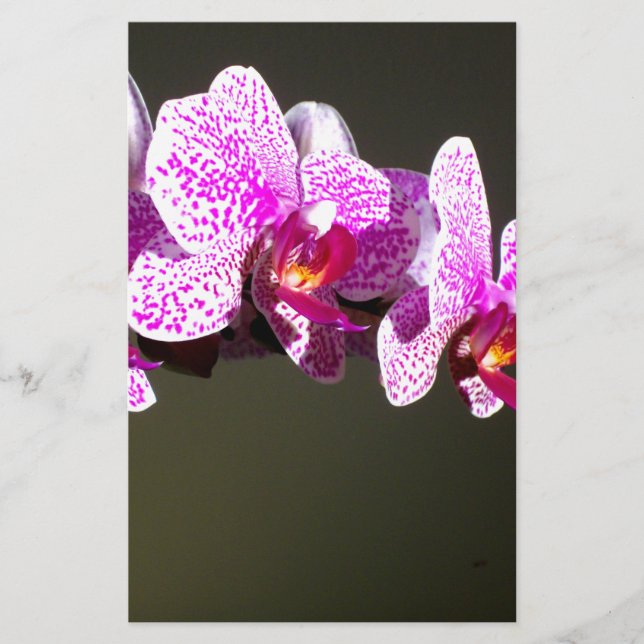 Papeterie Orchidées roses, fleurs tropicales roses (Devant)