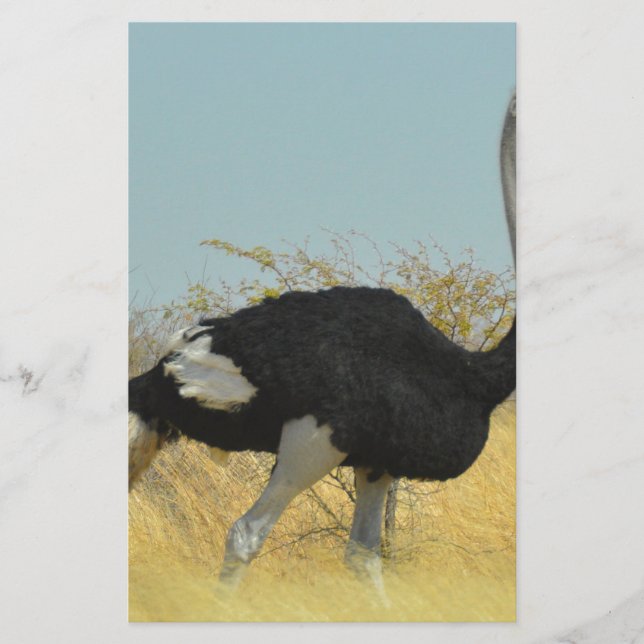 Papeterie Ostrige pour courir (Devant)