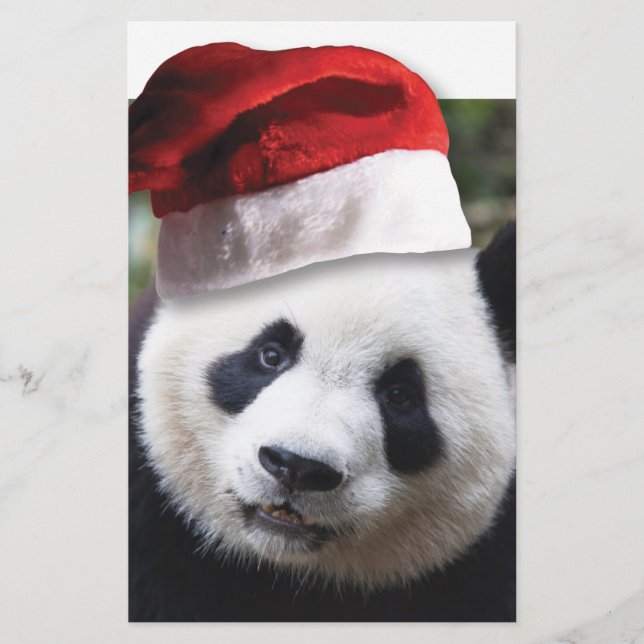 Papeterie Ours de panda Noël (Devant)