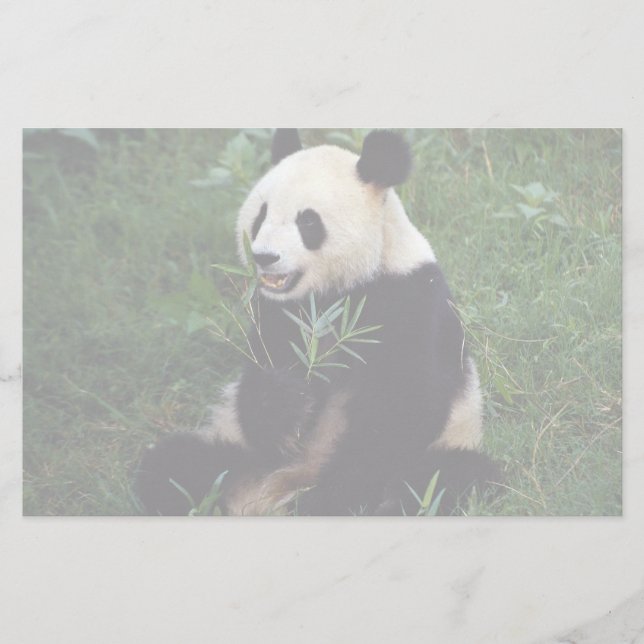 Papeterie Panda géant, province de Sichuan, Chine (Devant)