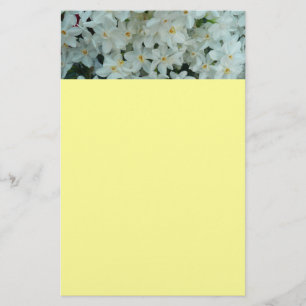 Papeterie Paperwhite Narcissus Fleurs blanches délicates