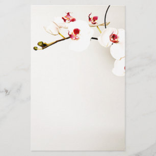 Papeterie Papier à lettres blanc pour orchidées