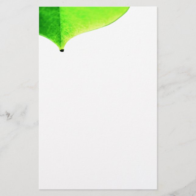 Papeterie Papier à lettres de congé vert (Devant)