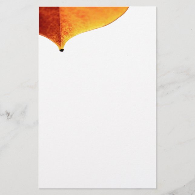 Papeterie Papier à lettres Orange Leave (Devant)
