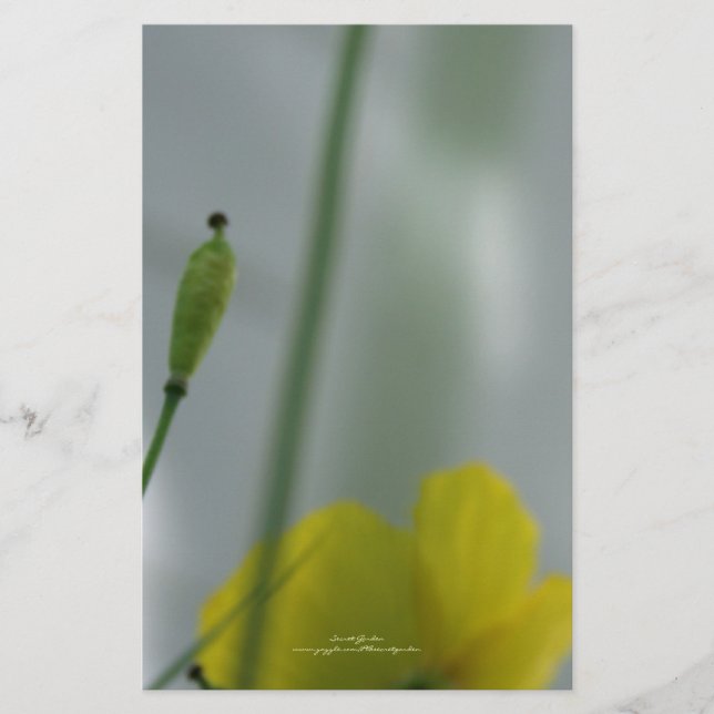 Papeterie Papier à lettres personnalisable 12 (Devant)