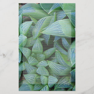 Papeterie Papier à lettres Plantes Green Haworth