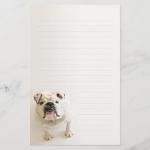 Papeterie Papier à lettres rayé par bouledogue blanc loyal