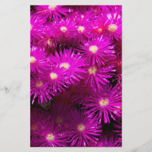 Papeterie Papier à scandale à fleurs rose Aster