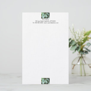 Papeterie Papier Feuille de jardin