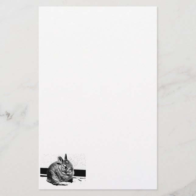 Papeterie Papier lapin (Devant)