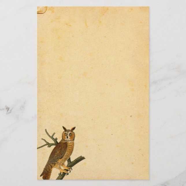 Papeterie Papier Parchemin Chouette vintage (Devant)