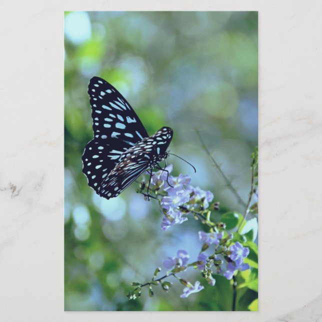 Papeterie Papillon noir et bleu (Devant)