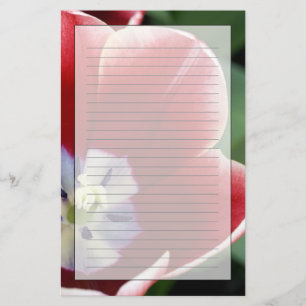 Papeterie Pays-Bas (alias Holland), Lisse. Keukenhof 3