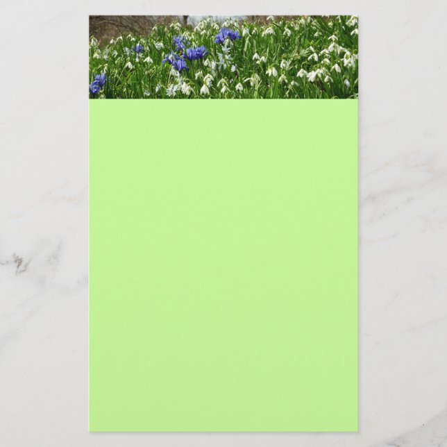 Papeterie Paysage des fleurs du début du printemps (Devant)