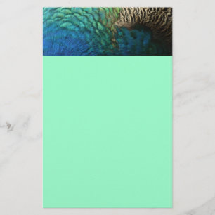 Papeterie Peacock Plumes I Colorful Abstrait Nature Design
