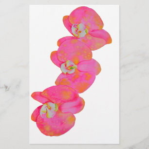Papeterie Peinture d'orchidée rose