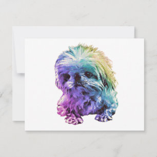 Papeterie Pekingese - carte blanche "Marcus"