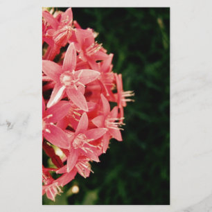 Papeterie Pentas