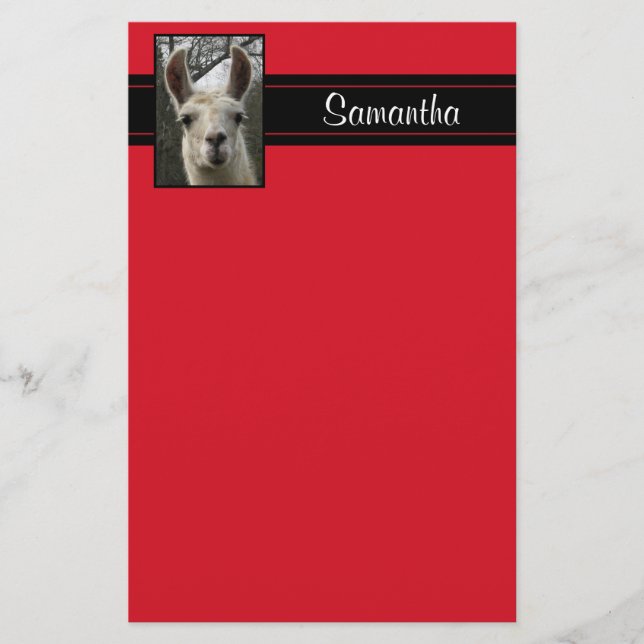Papeterie personnalisée par lama mignon (Devant)
