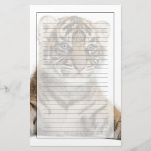 Papeterie Petit animal de tigre de Sumatran