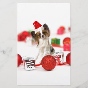 Papeterie Petit Papillon Chien Noël Santa Hat