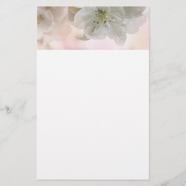 Papeterie Photo en fleurs de pomme blanche (Devant)