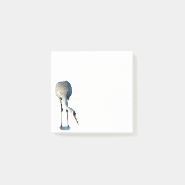 Papeterie photo Sandhill Crane 3x3 Post-it Notes (Devant)