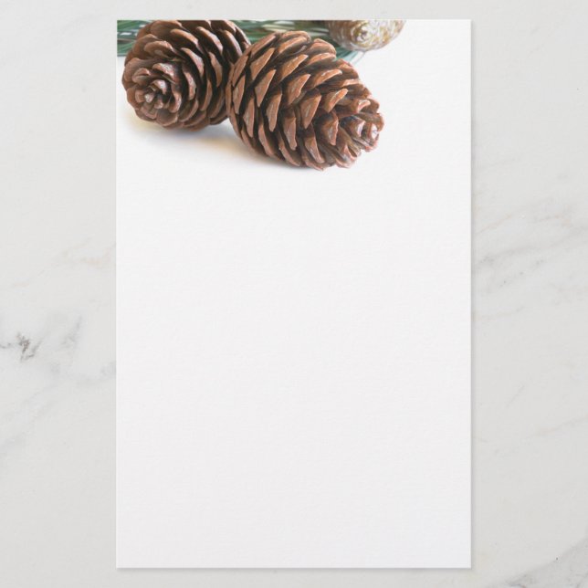 Papeterie Pine branch and cones (Devant)