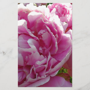 Papeterie Pink Peony photo cottage ferme jardin fleuri