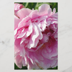 Papeterie Pink Peony photo cottage ferme jardin fleuri