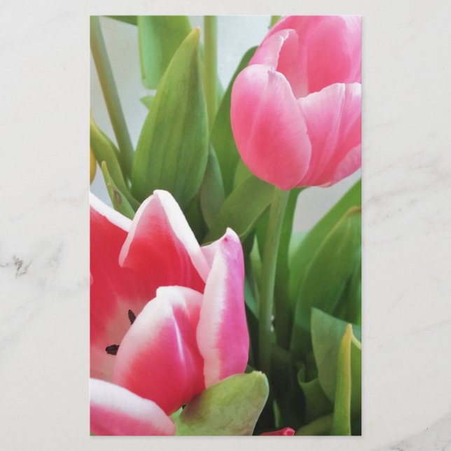 Papeterie Pink Tulips, Floral Spring Bouquet, Flowers (Devant)