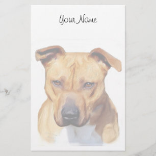 Papeterie Pitbull stationnaire