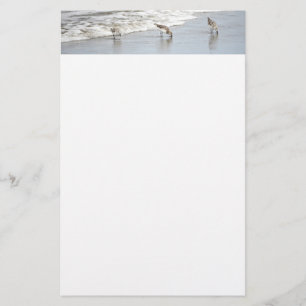 Papeterie Plage Birds in the Surf Photo Papier à lettres