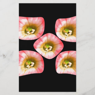 Papeterie Plaisir Floral