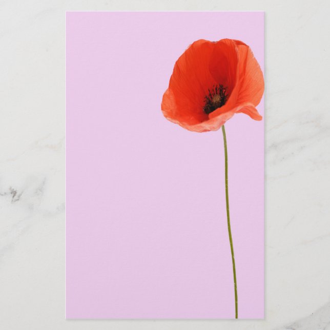 Papeterie Poppy (Devant)
