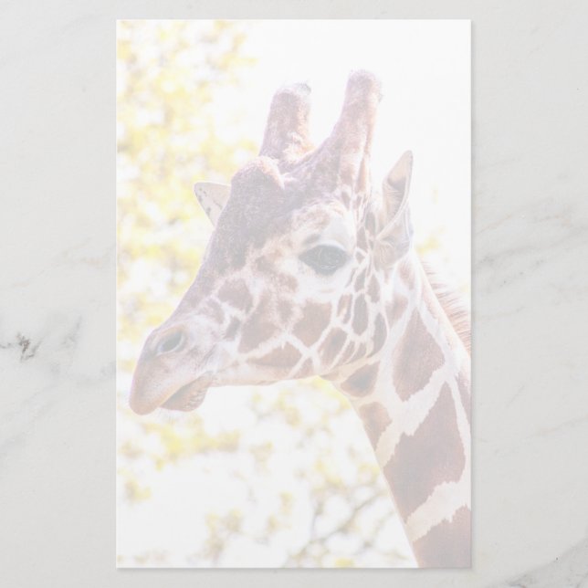 Papeterie Portrait de Giraffe (Devant)