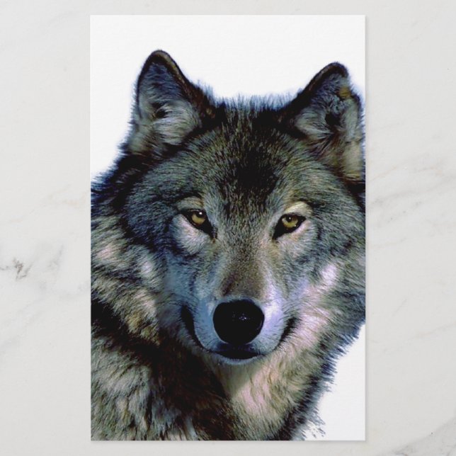 Papeterie Portrait Wolf (Devant)