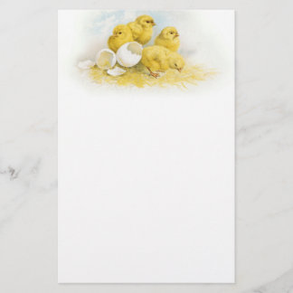 Papeterie Poulets vintages de bébé
