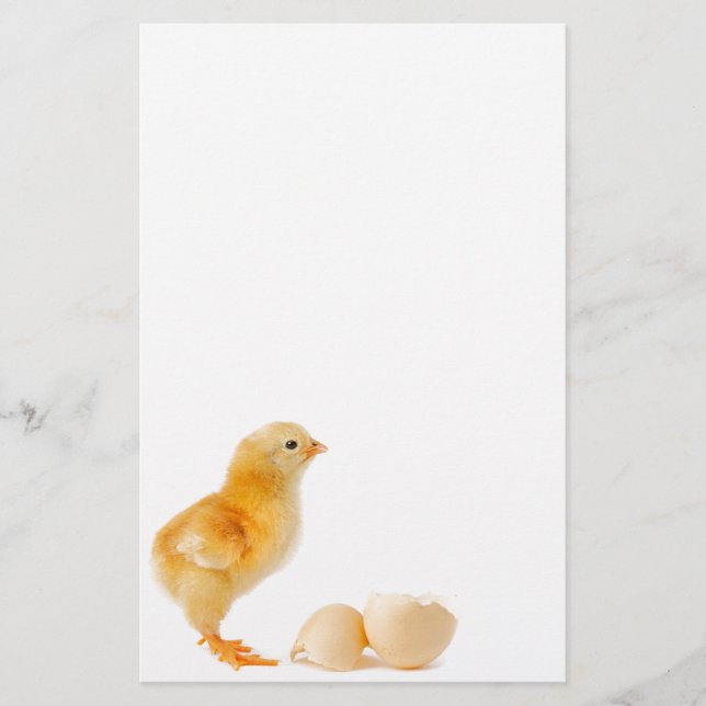 Papeterie Poussin (Devant)