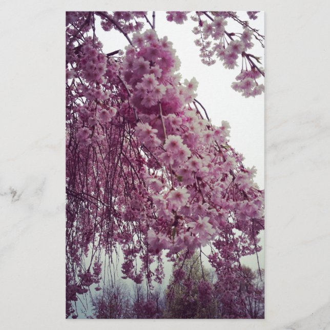 Papeterie Printemps (Devant)