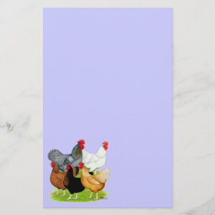 Papeterie quintette Sexe-lié de poulets