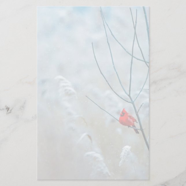 Papeterie Red Cardinal dans Winter Nature Photo de Christmas (Devant)